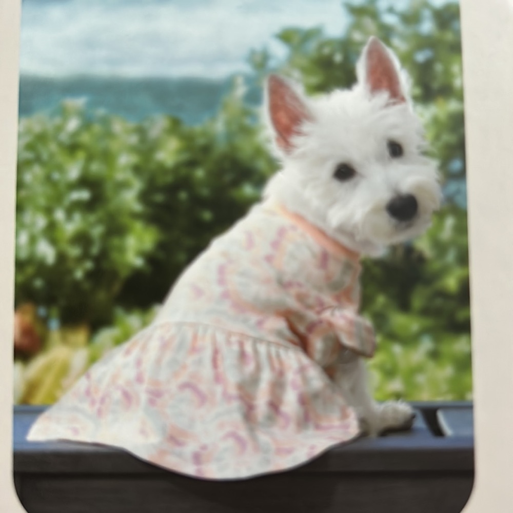 XL KOOLABURRA By UGG. Dog Shirt Dress. XL